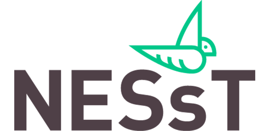 NESst-logo